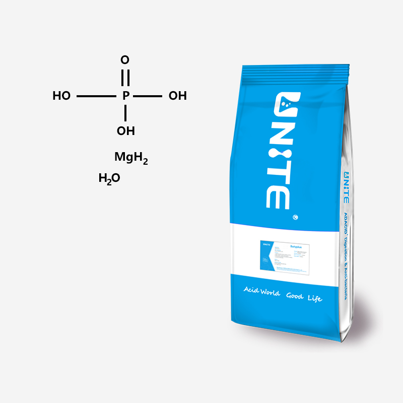 Magnesium Hydrogen Phosphate
