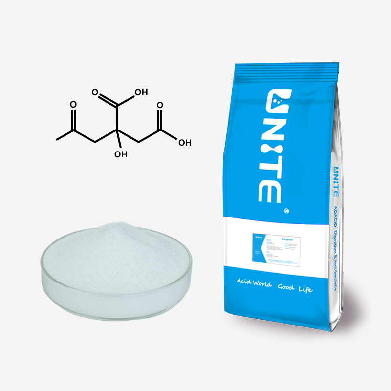 Citric Acid Anhydrous