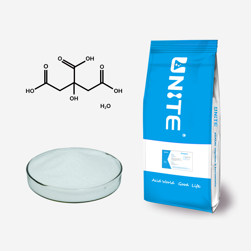 Citric Acid Monohydrate